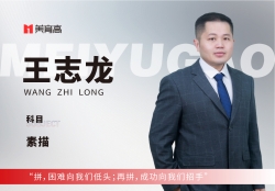 美(měi)育高(gāo)骨幹教師(shī)-王志(zhì)龍